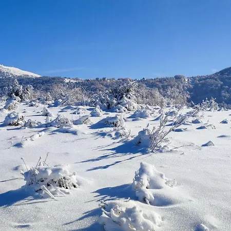 Lux U Kraljevim Cardacima * Kopaonik