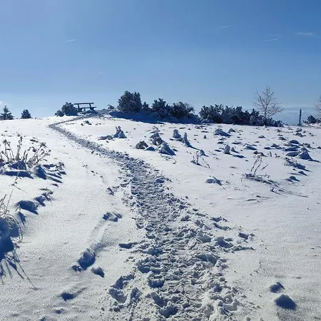 Lux U Kraljevim Cardacima * Kopaonik