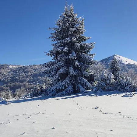 Lux U Kraljevim Cardacima Lägenhet Kopaonik