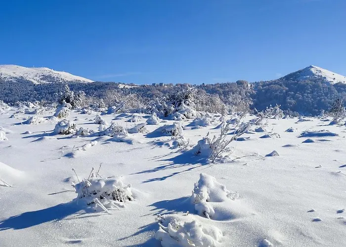 Lux U Kraljevim Cardacima * Kopaonik