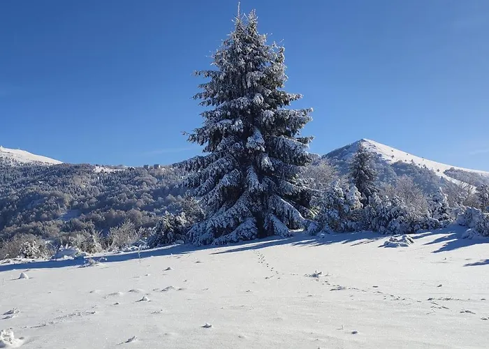 Lux U Kraljevim Cardacima Apartman Kopaonik