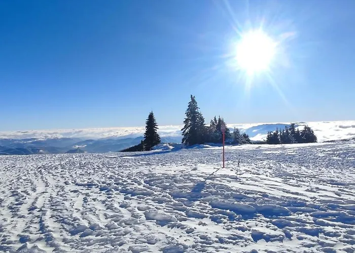 Apartman Lux U Kraljevim Cardacima